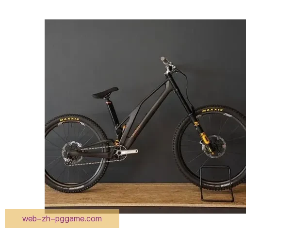 山地车世界纪录：挑战极限的速度与技术