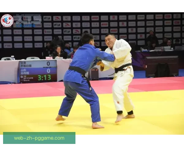 柔道规则解析及实战技巧分享