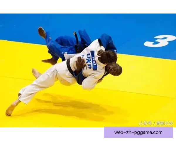柔道锦标赛：搏击之路，荣耀飞扬