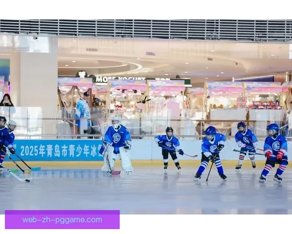 精彩纷呈的冰球赛事盛宴