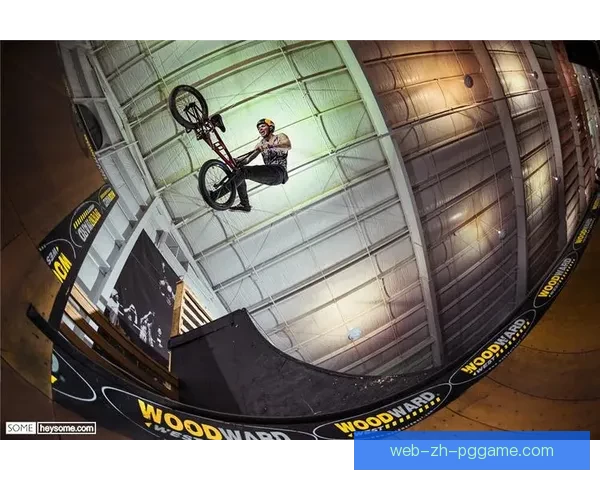 骑行极限：掌握BMX技巧的终极指南