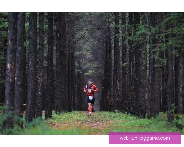 高效越野跑训练方法解析