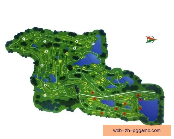 高尔夫数据分析：洞口分析与球道优化对比研究